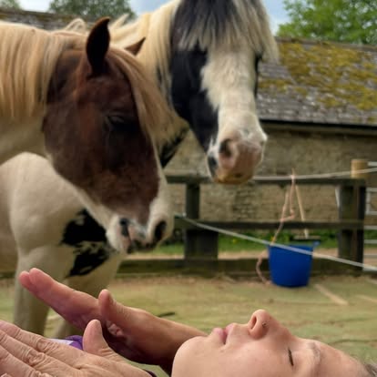Two ponies leaning in curiously over a person lying relaxed on the ground.
